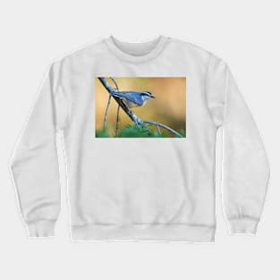 Red-breasted Nuthatch - Algonquin Park, Canada Crewneck Sweatshirt